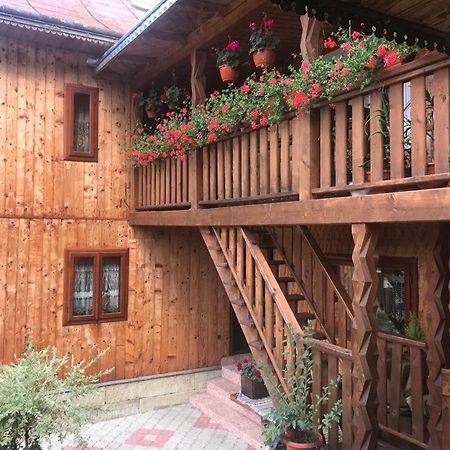 Pensiunea Agroturistica Casa Colinita Vatra Moldoviţei Exteriör bild
