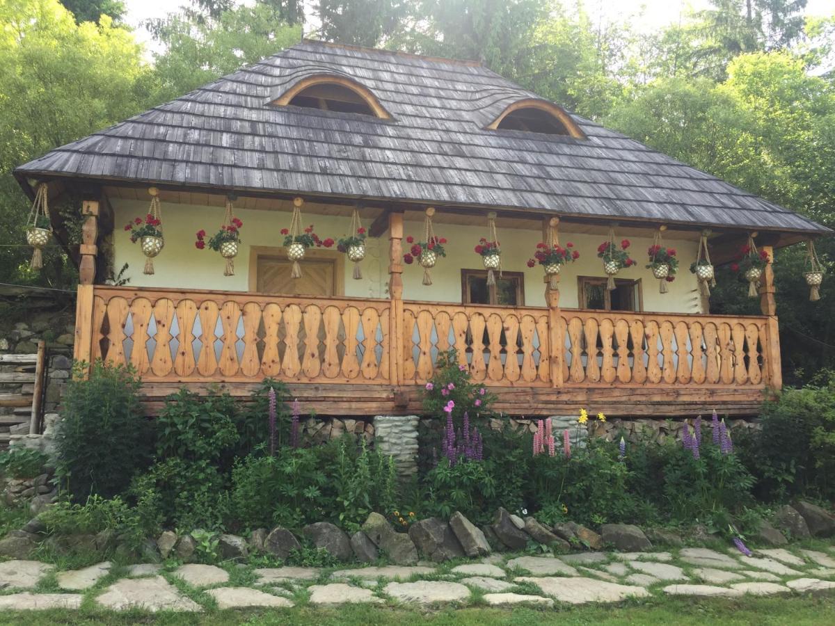 Pensiunea Agroturistica Casa Colinita Vatra Moldoviţei Exteriör bild
