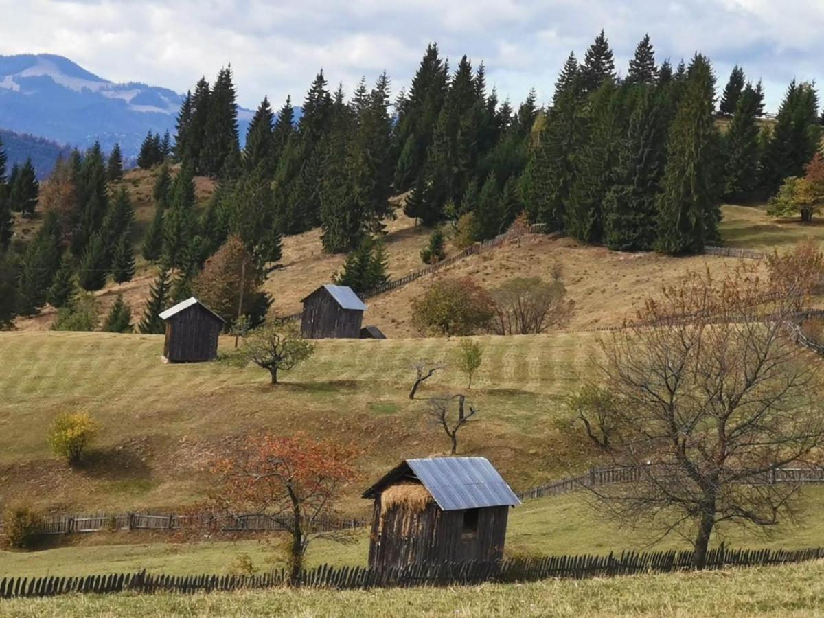 Pensiunea Agroturistica Casa Colinita Vatra Moldoviţei Exteriör bild