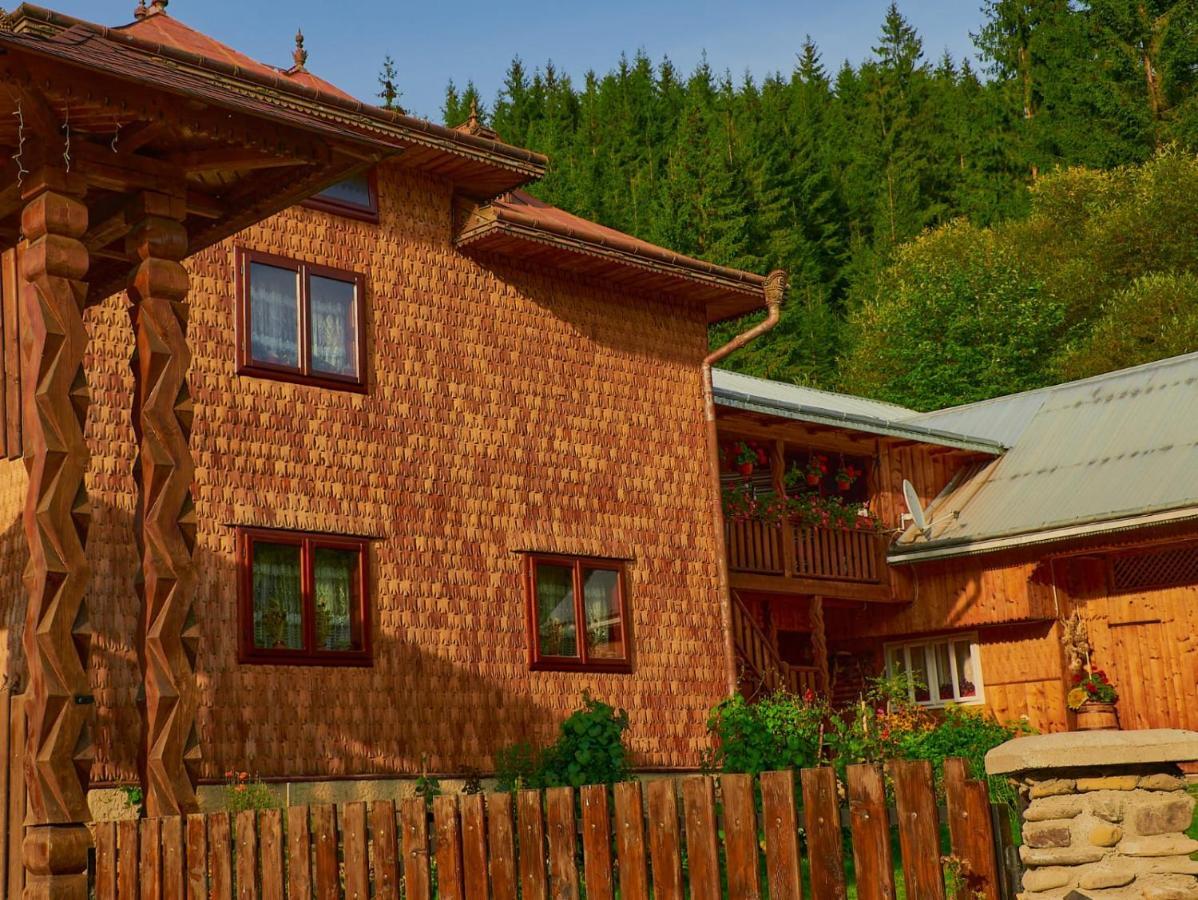 Pensiunea Agroturistica Casa Colinita Vatra Moldoviţei Exteriör bild