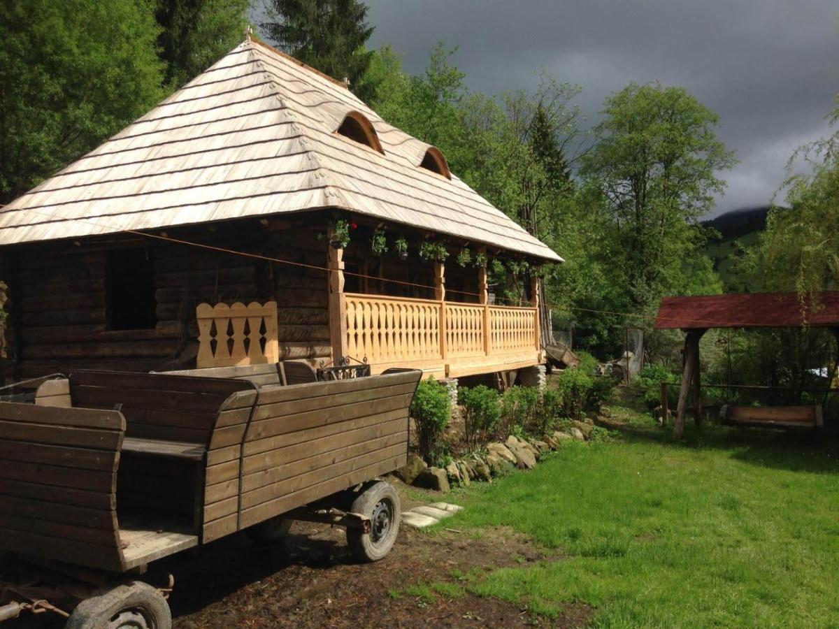 Pensiunea Agroturistica Casa Colinita Vatra Moldoviţei Exteriör bild