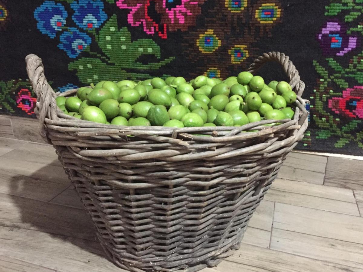 Pensiunea Agroturistica Casa Colinita Vatra Moldoviţei Exteriör bild