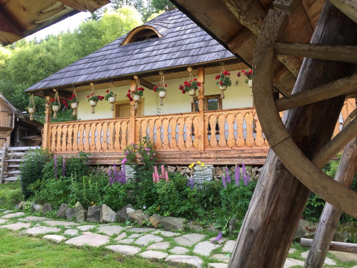 Pensiunea Agroturistica Casa Colinita Vatra Moldoviţei Exteriör bild