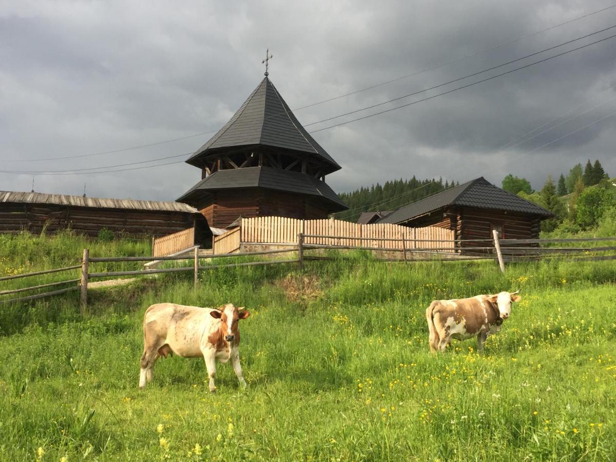 Pensiunea Agroturistica Casa Colinita Vatra Moldoviţei Exteriör bild