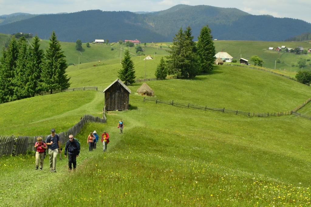 Pensiunea Agroturistica Casa Colinita Vatra Moldoviţei Exteriör bild