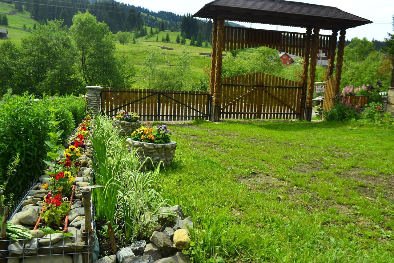 Pensiunea Agroturistica Casa Colinita Vatra Moldoviţei Exteriör bild