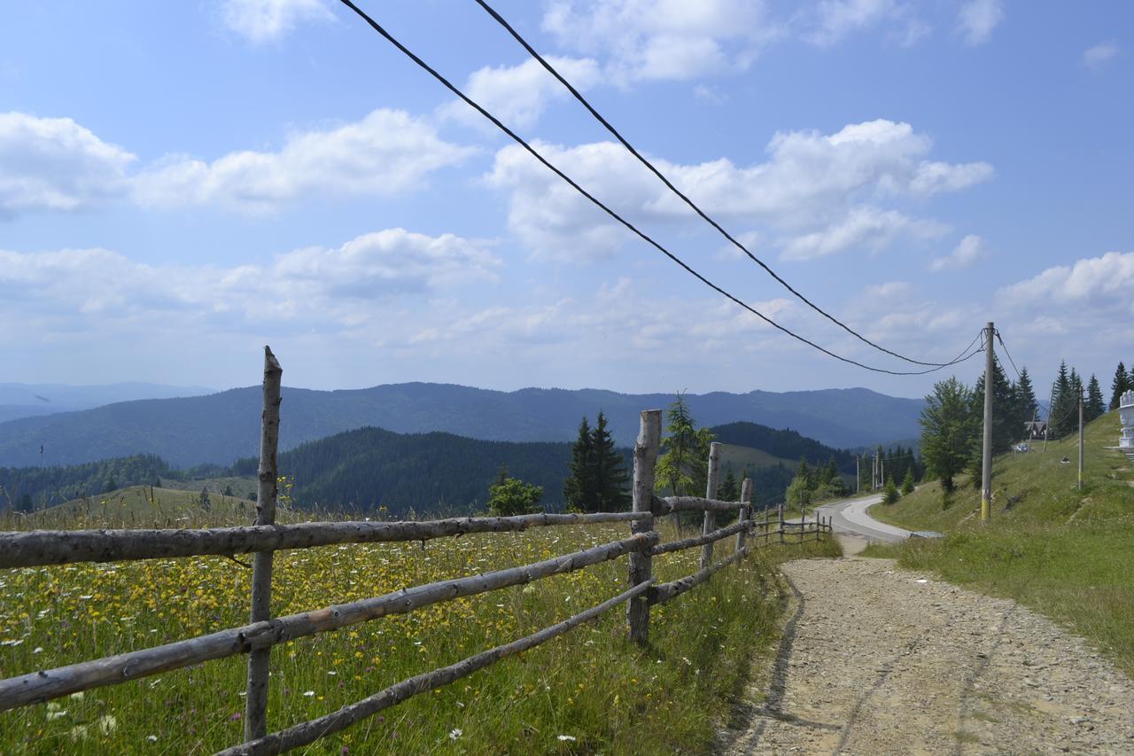 Pensiunea Agroturistica Casa Colinita Vatra Moldoviţei Exteriör bild
